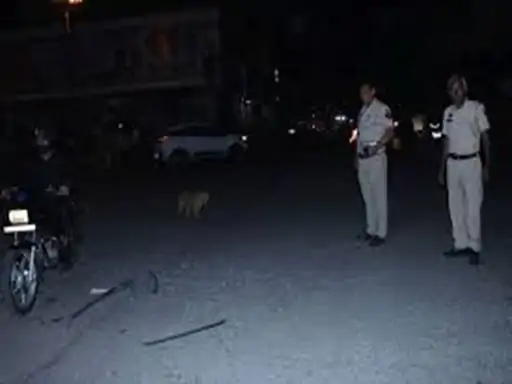 करनाल में तेज रफ्तार पिकअप का कहर:रोड क्रॉस करते समय दो लोगों को मारी टक्कर, एक की मौत; दूसरे की हालत गंभीर